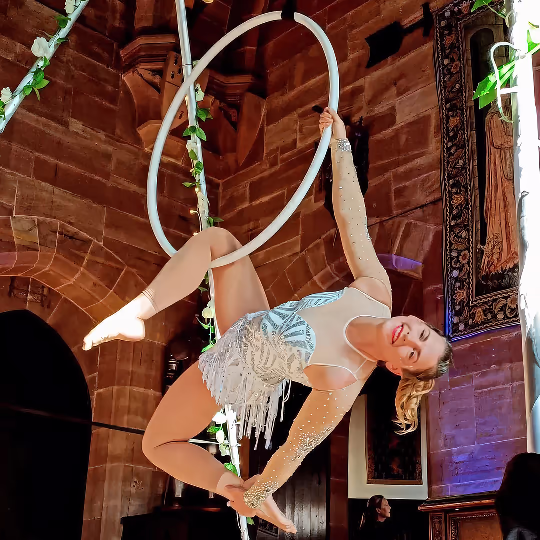 aerial-hoop-1080-v1